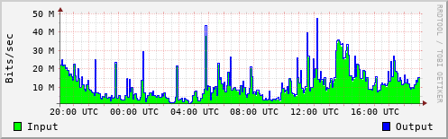 Network Activity