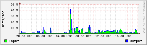 Network Activity
