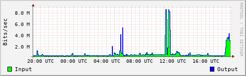 Network Activity