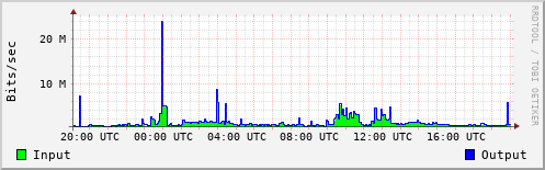Network Activity