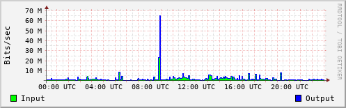 Network Activity
