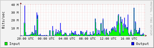 Network Activity